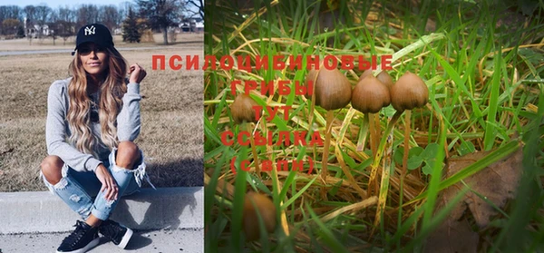 стаф Абаза