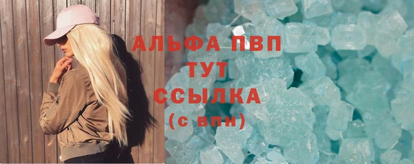 стаф Абаза