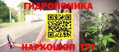 амф Анжеро-Судженск