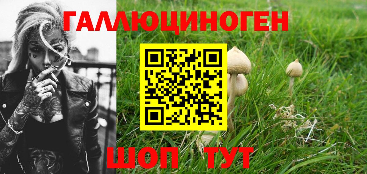 Псилоцибиновые грибы MAGIC MUSHROOMS  Вход с VPN  цена   Псилоцибиновые грибы Psilocybine cubensis  Александров 