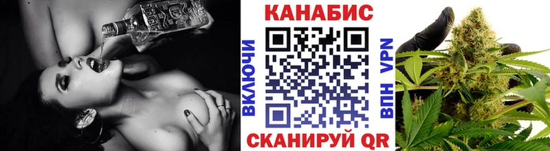 мориарти официальный сайт Александров Канабис конопля MEGA онион