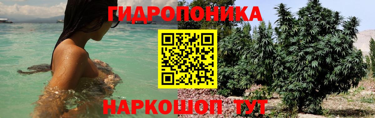 Александров  МАРИХУАНА гибрид  Вход с VPN  Марихуана план  Шишки марихуана THC 21%  МАРИХУАНА индика 